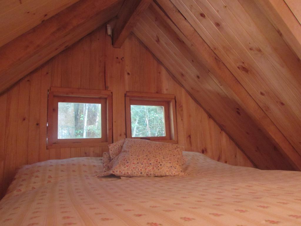 Cabana Rustica Patagonia Chilena Coñaripe Δωμάτιο φωτογραφία
