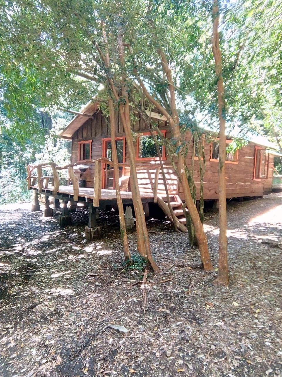 Cabana Rustica Patagonia Chilena Coñaripe Εξωτερικό φωτογραφία